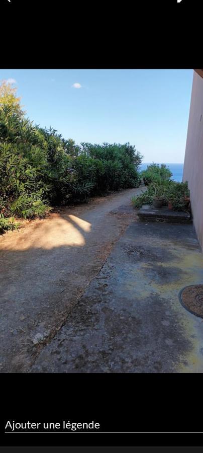 Studio Plage Santa-Maria-di-Lota Exterior foto